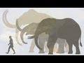 Reviving Extinct Species: The Woolly Mammoth