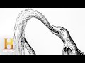 Alaska's Mysterious Water Creature