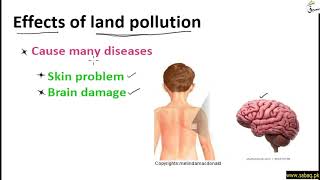 Land Pollution (Causes and Effects)