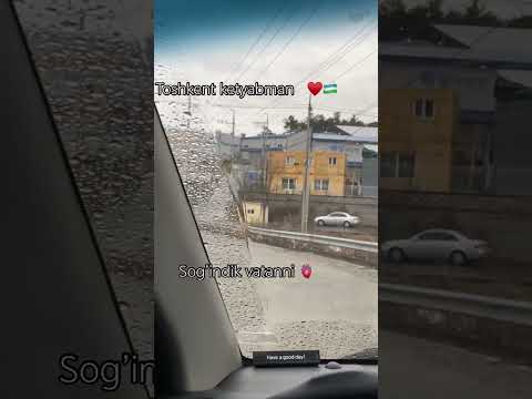 Layk bosing va obuna bo'ling #rek #rekachiq #tiktok #saginbaev #reels #sevishganlarsuhbati