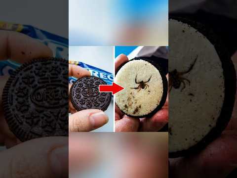 Dead animals found in your favorite food! #facts #animalfacts #wildlife