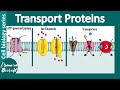 Transport Proteins and Mechanisms
