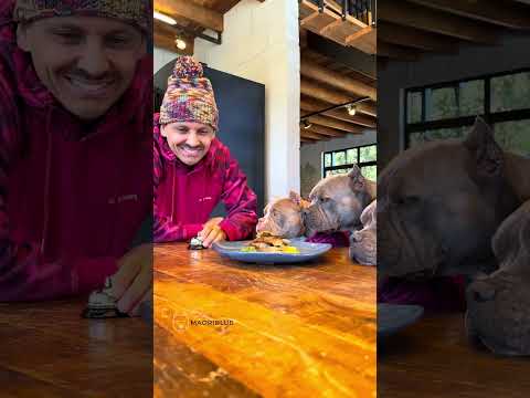 Codornas Assadas 😋🐾 com Quirera 🤩 Temperado com Sal e Manjericão