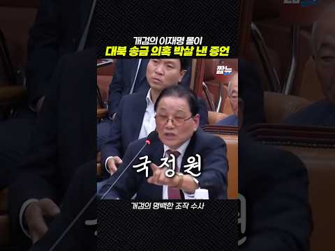 지금 들으니 확고한 이재명 종북 몰이 개검 조작 수사 [짧뉴] 법사위 #짧은뉴스