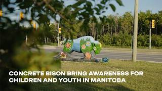 Concrete Bison Bring Awareness for Children and Youth in Manitoba
