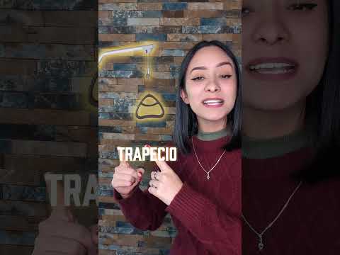 Cama Hospitalaria Manual  de 2 Funciones con Manivelas, Piecera y Cabecera de ABS Desmontables