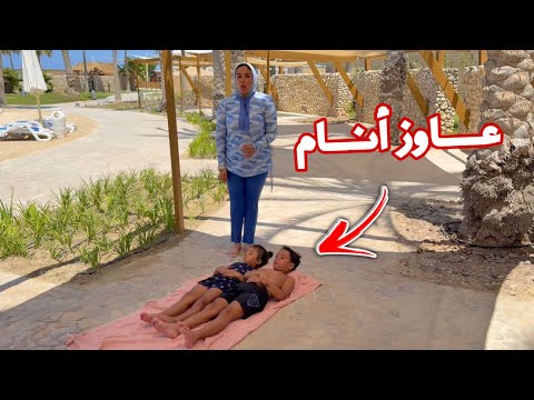 كابوريا تنام داخل المسبح - شوف حصل أية !!