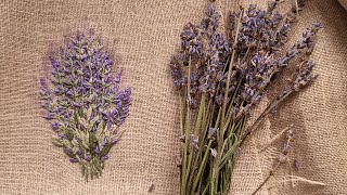 How Did Stitch This Realistic Lavender? Bouquet of Lavender Embroidery