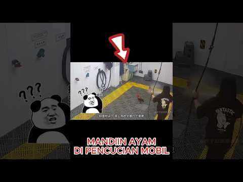 Inilah Pencucian Mobil Paling Sibuk Di Dunia #shortsfeed #shortsviral #respectmoments #shortvideo