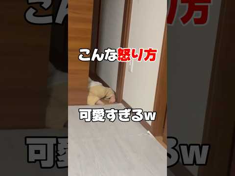 ご飯食べないの注意したらこうなりました。#日常 #shorts