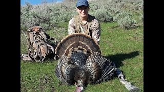 BIG UTAH TURKEY 2017 EARLY HUNT