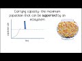 Exploring Ecosystem Carrying Capacity