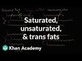 Understanding Triglycerides and Fats