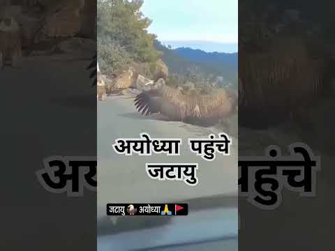 Ayodhya pahunche shree Ram ?#shreeram #ayodhya #ayodhyarammandir #ram#rammandir