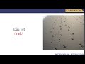 Técnicas de Seguimento en Vídeo
