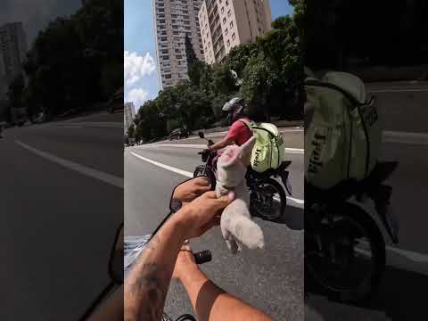 Ci Motocykliści Mają Coś Nie Tak Z Głową