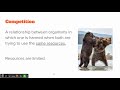 Ecology Concepts and Principles Assessment