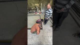 VIDEO 3  فيديو