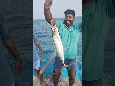 நடுக்கடலில் தூண்டில் பிடித்த வஞ்சிரம் மீன் #kadalthaaimagan #seafood #fishing #fisherman #shorts
