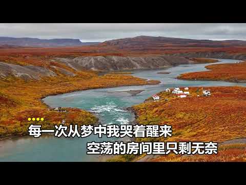 王愛華  你是我不變的夢 MTV