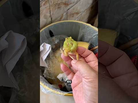 Papá dijo: Esta es tu casa… 🤣