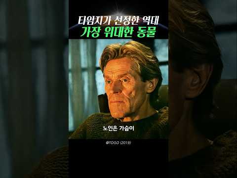 타임지가 선정한 역대 가장 위대한 동물은?