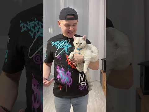 МАРСЕЛЬ ИЛИ МАЛИНА#cat