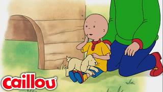 Caillou und die Welpen | Cartoons voor kinderen | Caillou auf Deutsch