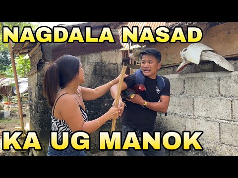 SUGAROL NGA BANA 🤣 5