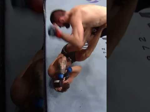 КОНОР ИСПУГАЛСЯ ХАБИБА ?/ #khabibnurmagomedovufc #mma #ufc #youtubeshorts #shorts #fighting #2024