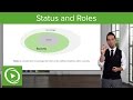 Social Status and Role Dynamics
