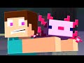 Steve and Alex's Adventure Questions