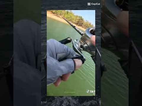 #memes #fyp #ทะเลมีม #ไม่มีคนดูก็ลง #มีมตลก #อย่าปิดการมองเห็น #capcut