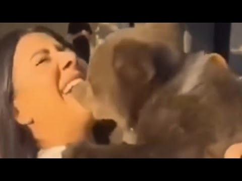 The DAMNED NATURE, Damn Nature, You Scary.