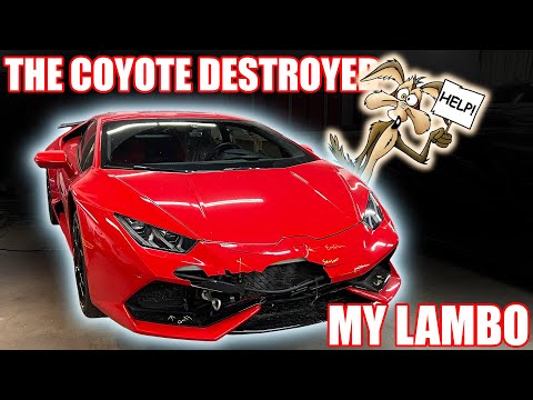 Coyote DESTROYS Lamborghini Huracan – $40,000 In Damage.. Front End Collision!