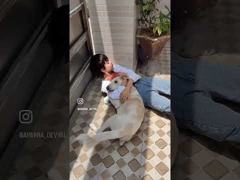 Chomu and Koko’s reunion after a year