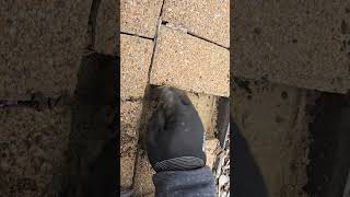Confidently replace bricks for a walkway or patio.