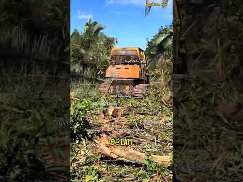 CHO MÁY ỦI LÀM HÀNG RÀO BIÊN GIỚI
