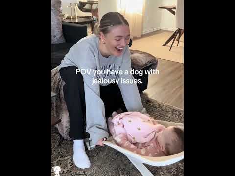 BEST SCARE CAM Prank Reactions 2025 #shorts #jumpscare #scarecampranks #scarypranks #scarecam2025