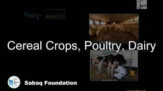 Cereal Crops, Poultry, Dairy