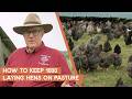Millennium Feathernet Chicken Management