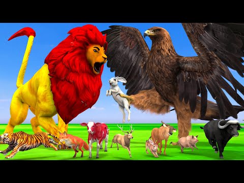 The Lion Vs Eagle Rabbet Hindi Moral Story | Eagle vs Sher  Hindi Kahani | Jungle Animal Stories