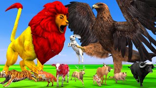 The Lion Vs Eagle Rabbet Hindi Moral Story | Eagle vs Sher  Hindi Kahani | Jungle Animal Stories