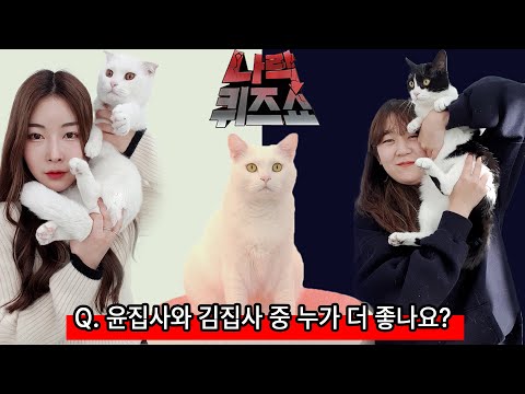 고양이 나락퀴즈쇼 | 고양이산책