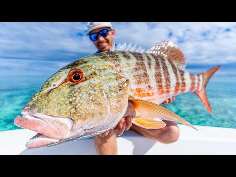 The Worlds Best Fishing Spot. (Popping and Jigging The Great Barrier Reef)