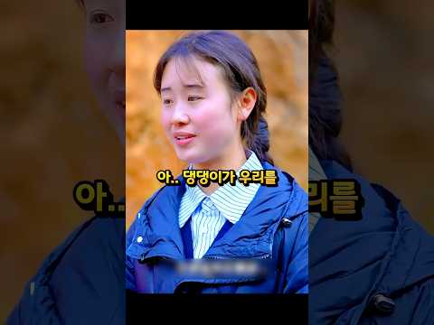 강아지가 버스를 멈추고 두러눕는데... 승객들은 분노로 가득찬다. #감동사연 #감동드라마 #반전드라마