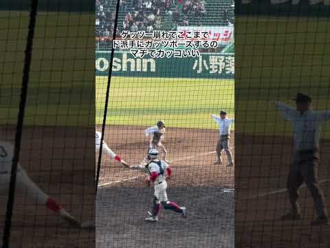 Teamへの忠誠心が現れている #甲子園 #高校野球 #智弁和歌山 #千葉黎明