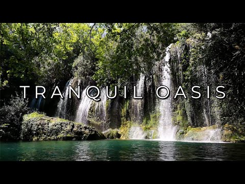 Tranquil Oasis - Serene Lake and Waterfalls - Relaxing Ambient Music