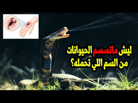 ليش الحيوانات السامه ماتسمم نفسه بهذا السم الموجود بداخله؟؟؟