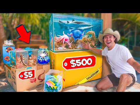 Buying $5 vs $500 Live Sea Creature Mystery Boxes